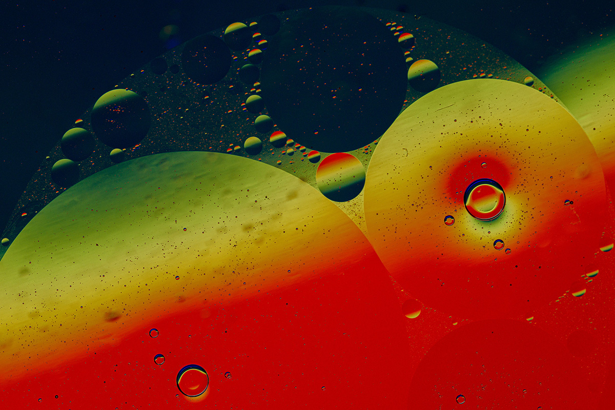 D81_1476_1.jpg