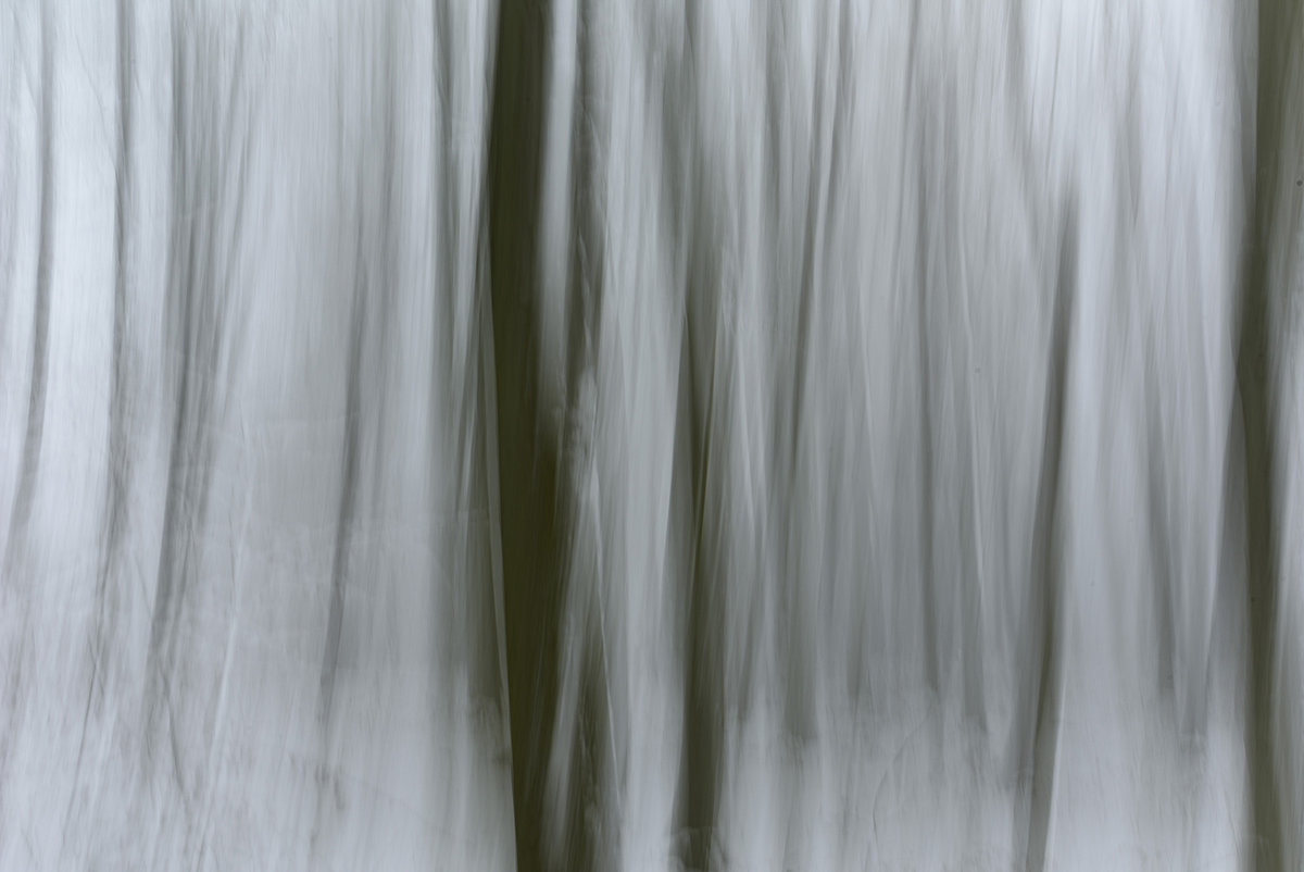 D81_5689.jpg