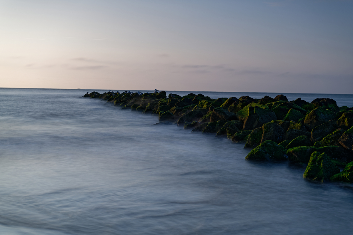 D85 0600 DxO