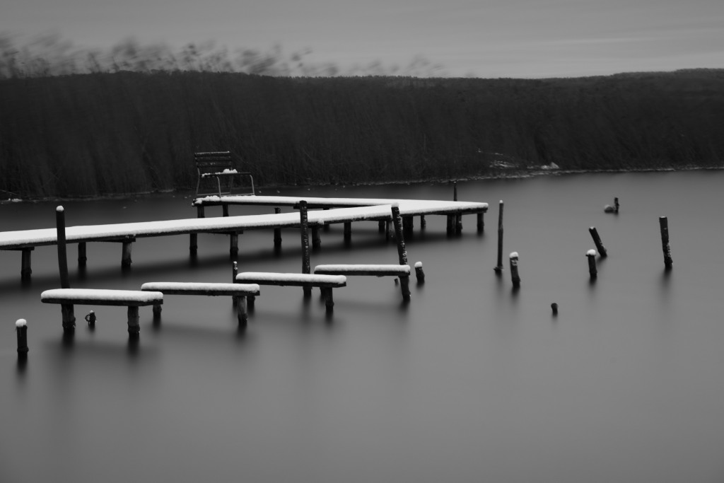 D85 2009 bw