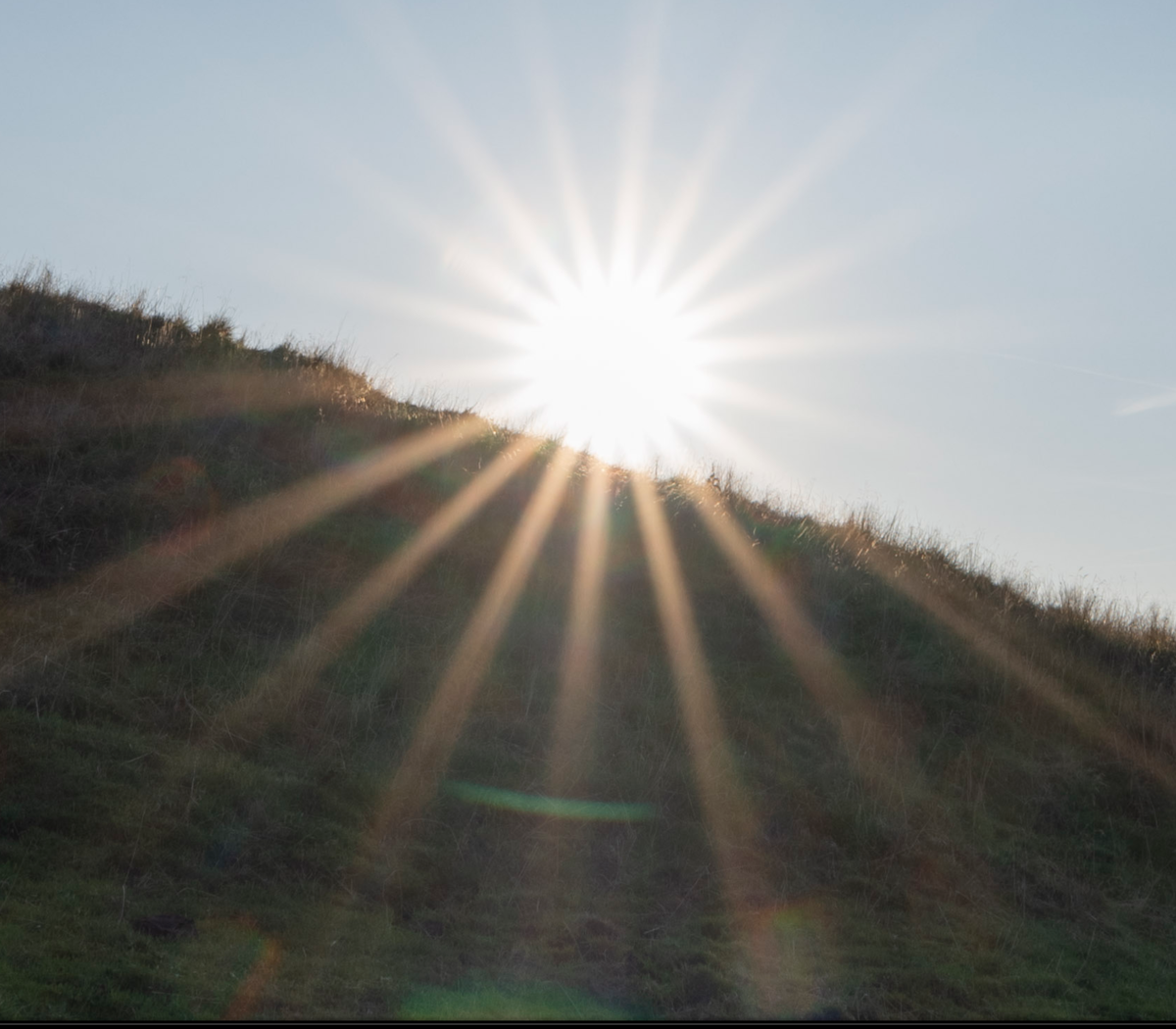 D850 und Sigma 14 1.8-b.png