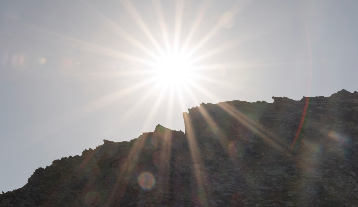 D850 und Sigma 14:1,8.png