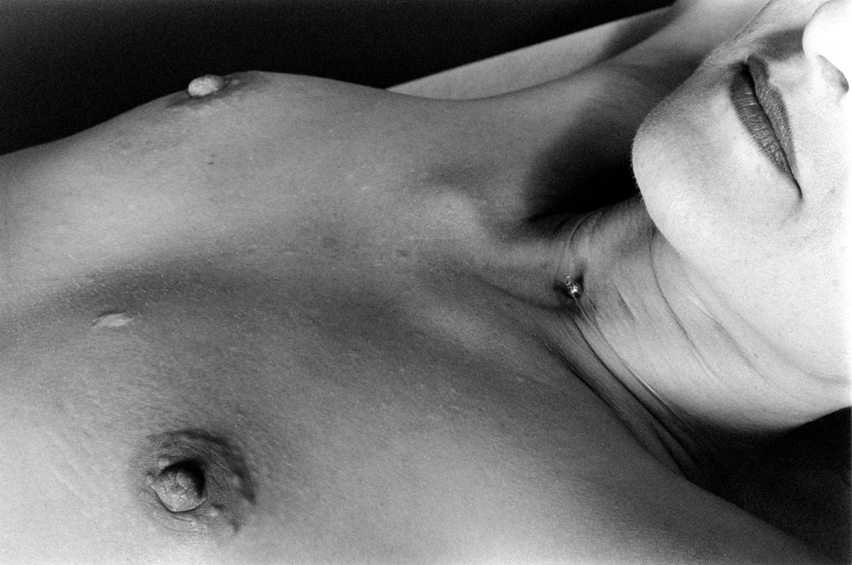 D85_5462.JPG