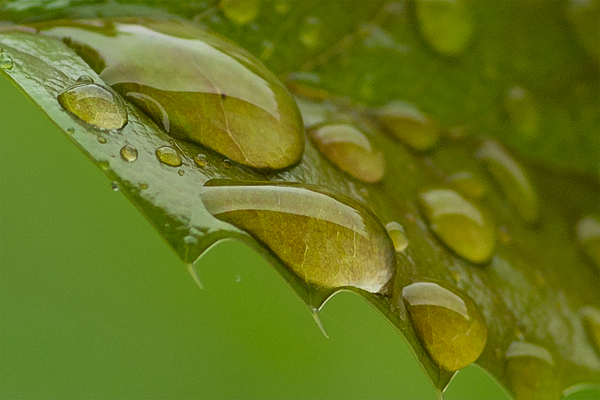 D8E 0019 100crop
