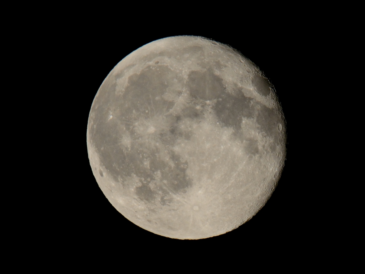 D8E 9586 copy 1303