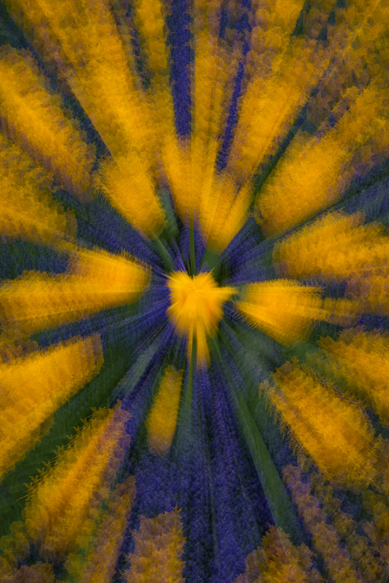 D8E4332