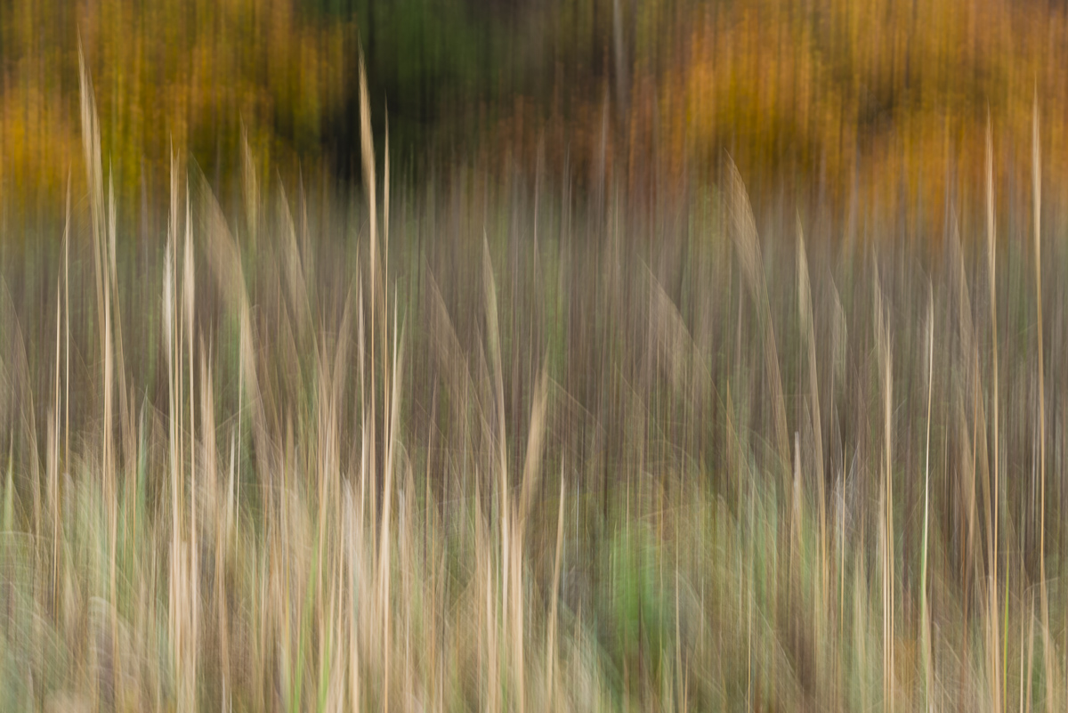 D8E4975