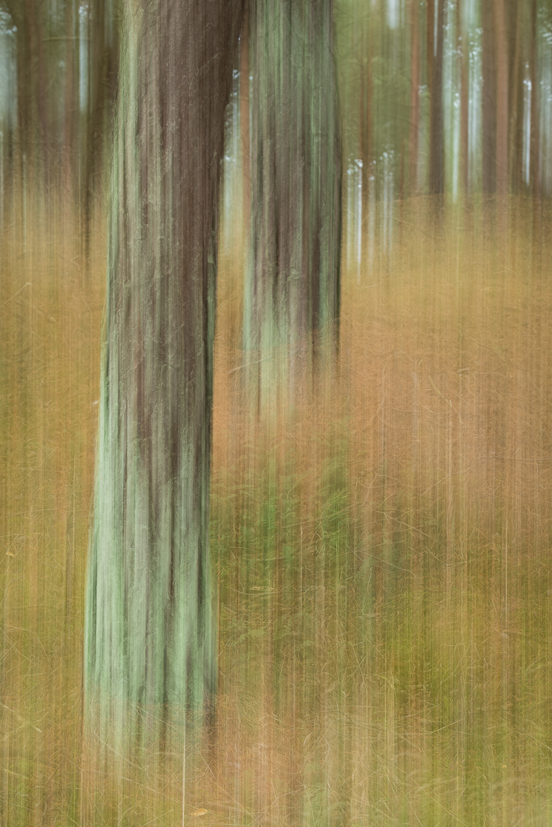 D8E5719