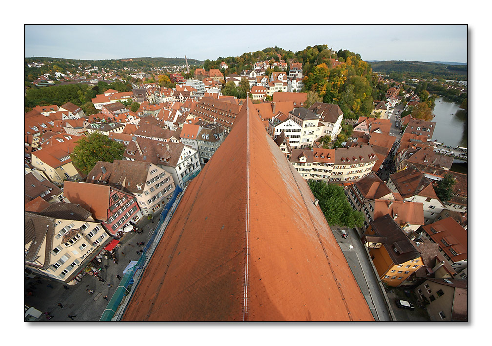 Dach1