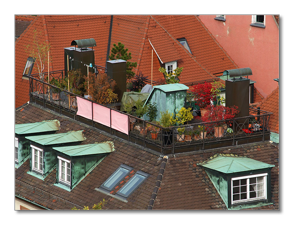 Dach2