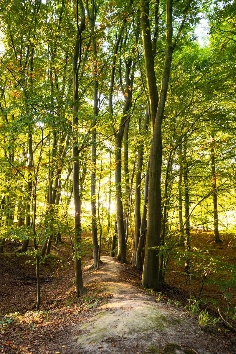 Dalbekschlucht im September