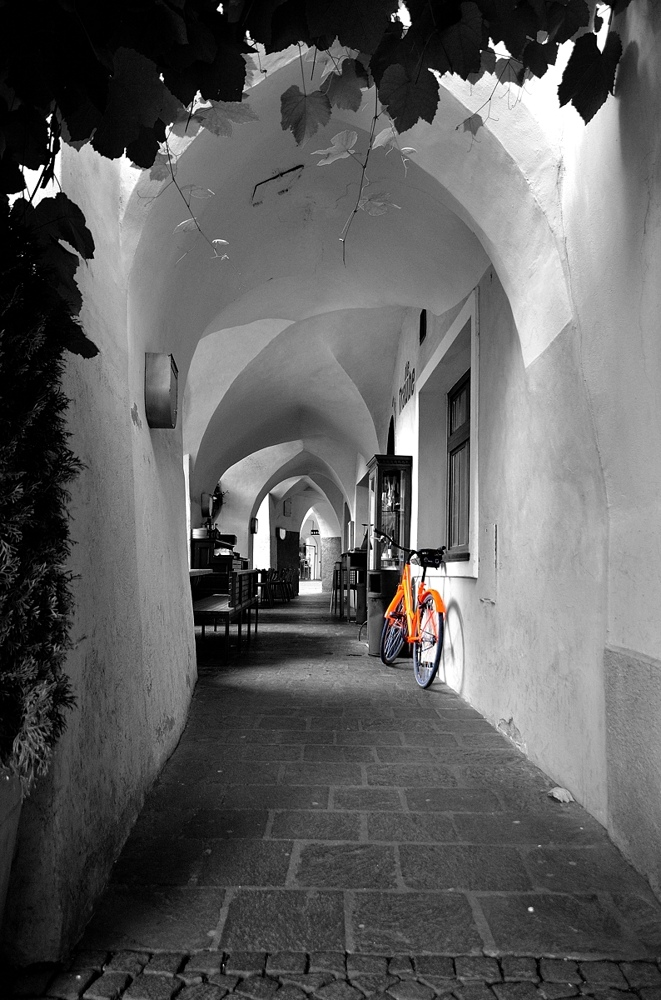 Damenrad in Südtirol