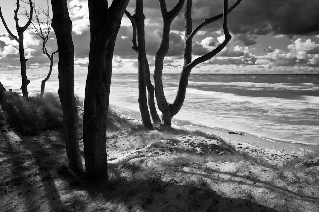 Darss Weststrand