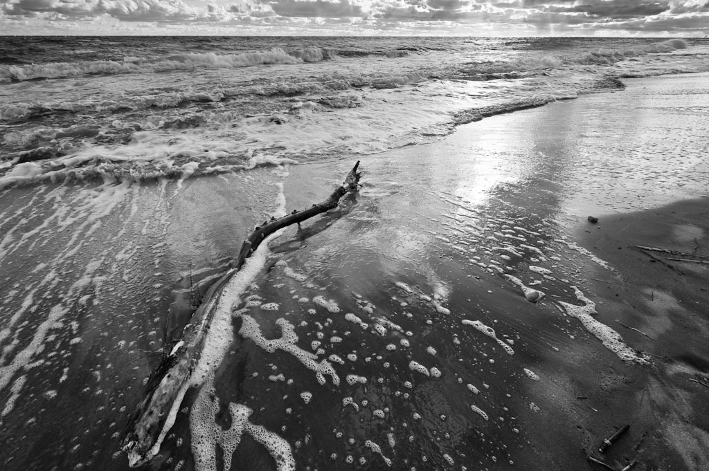 Darss Weststrand