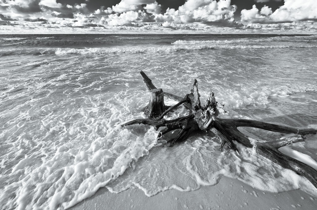 Darss Weststrand