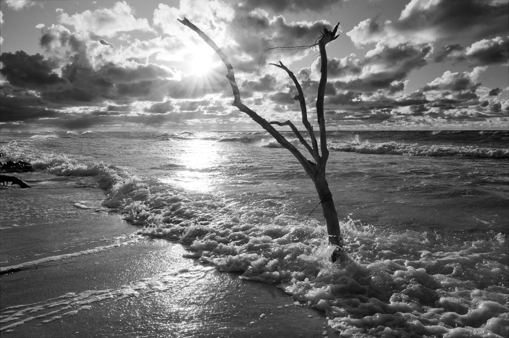 Darss Weststrand