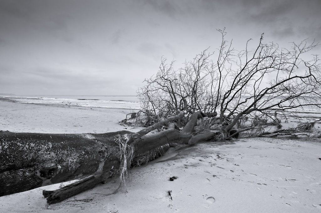 Darss Weststrand
