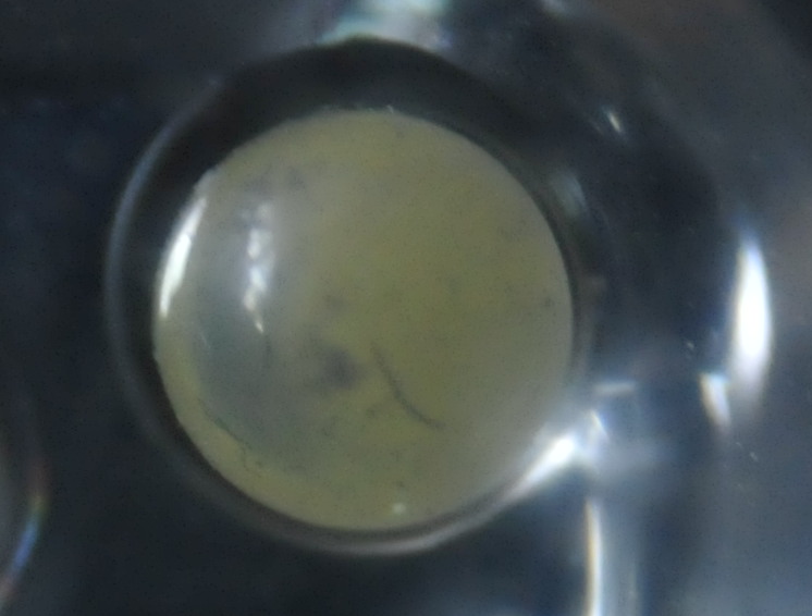 DAS 130715