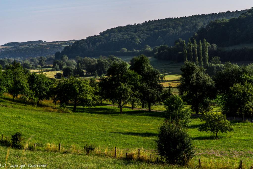 Das Heckengäu (BW)