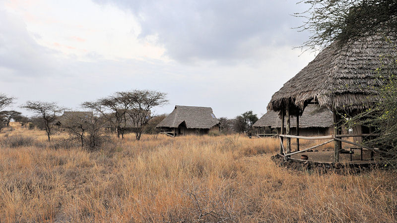 Das Kambi Ya Tembo 
zwischen dem Arusha Nationalpark, Kilimanjaro Nationalpark 
und dem Amboselli Game Reserve mitten im Busch.
Es gibt keinen Zaun. T