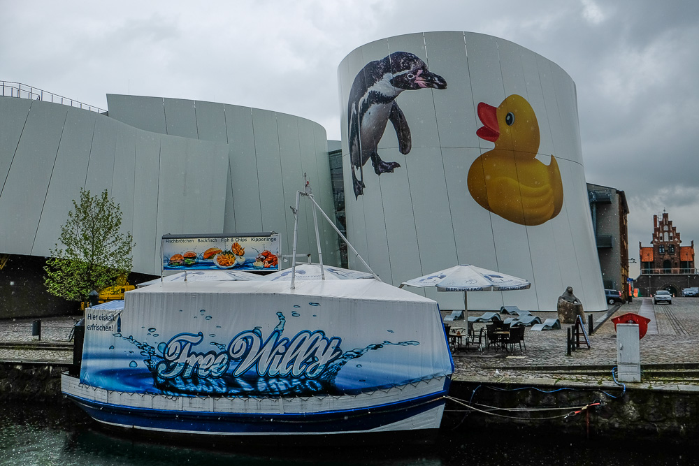 Das Ozeaneum wird bunt