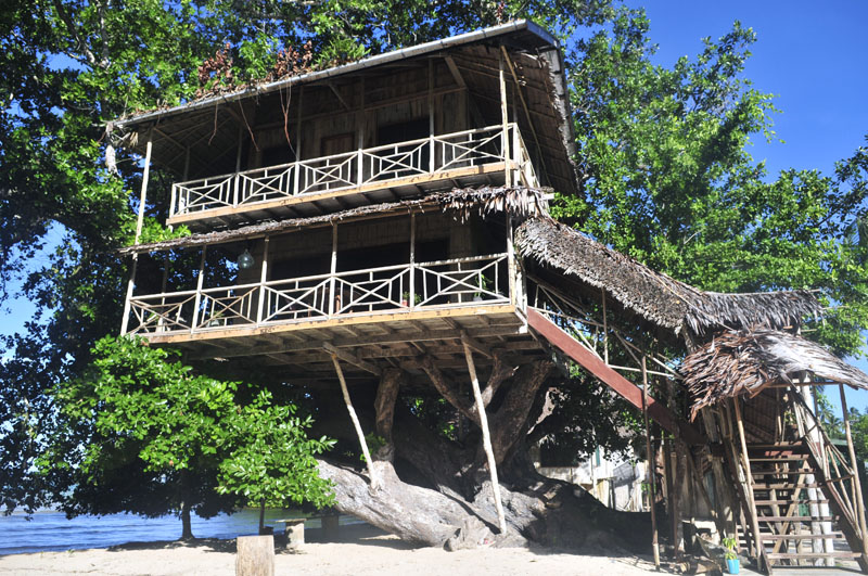 Das Treehouse auf Neu Irland
