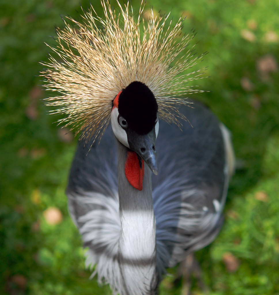 db 5