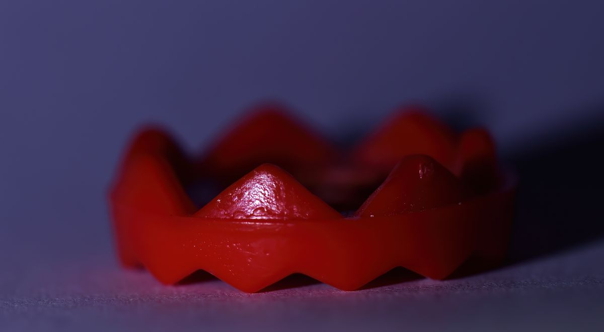 db_02_2020.jpg