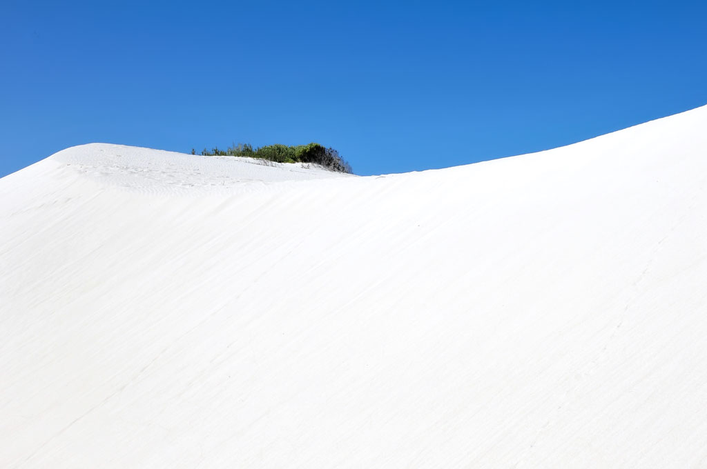 de hoop NP 3