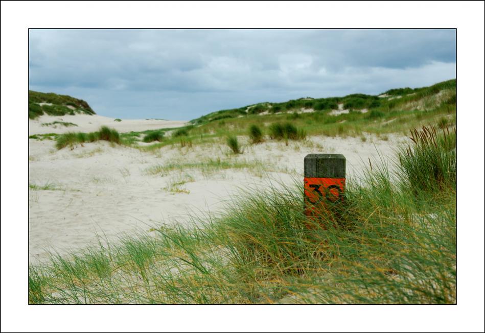 de Kerf
Dünen Gebiet bei Schoorl, NL