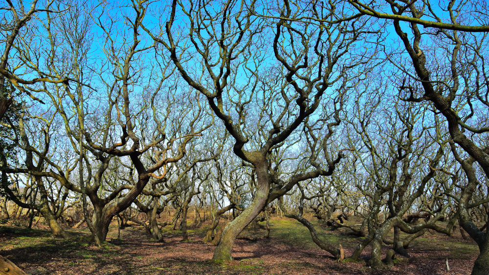 De Manteling van Walcheren