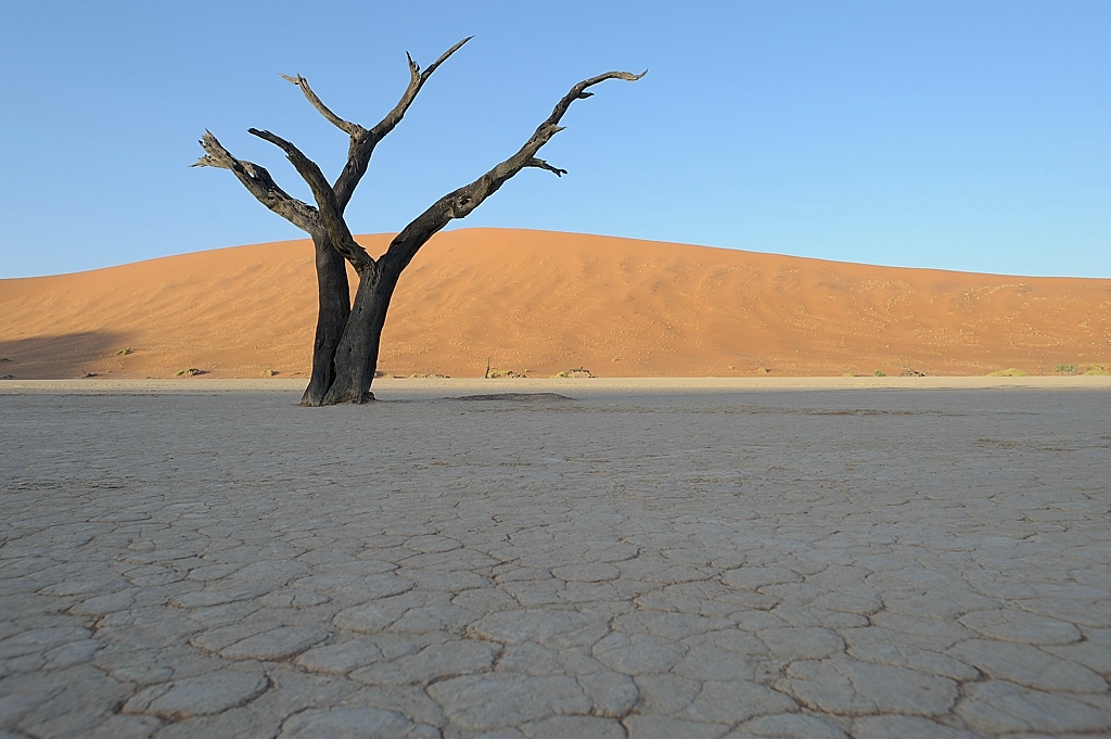 Deadvlei