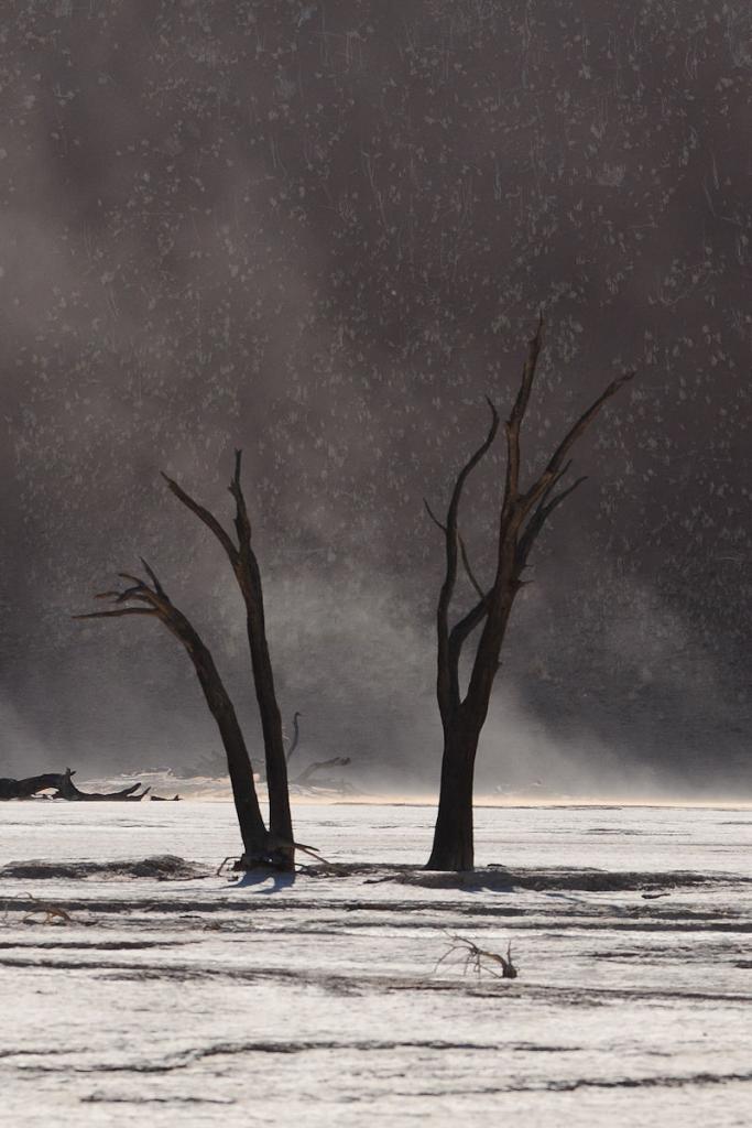 Deadvlei