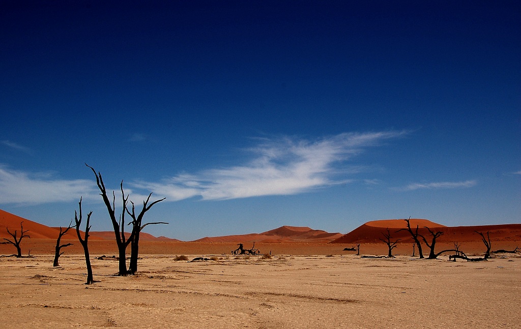 Deadvlei003