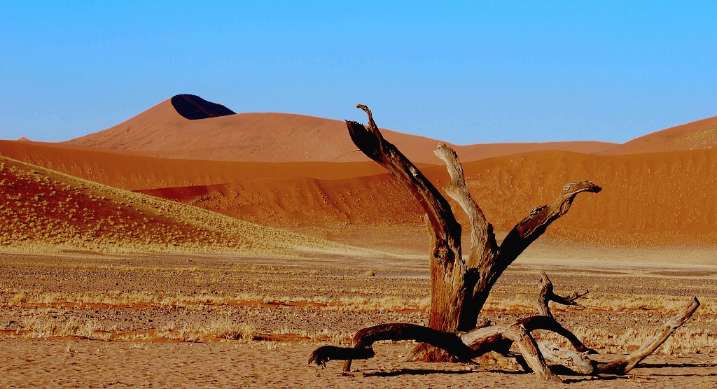 Deadvlei005