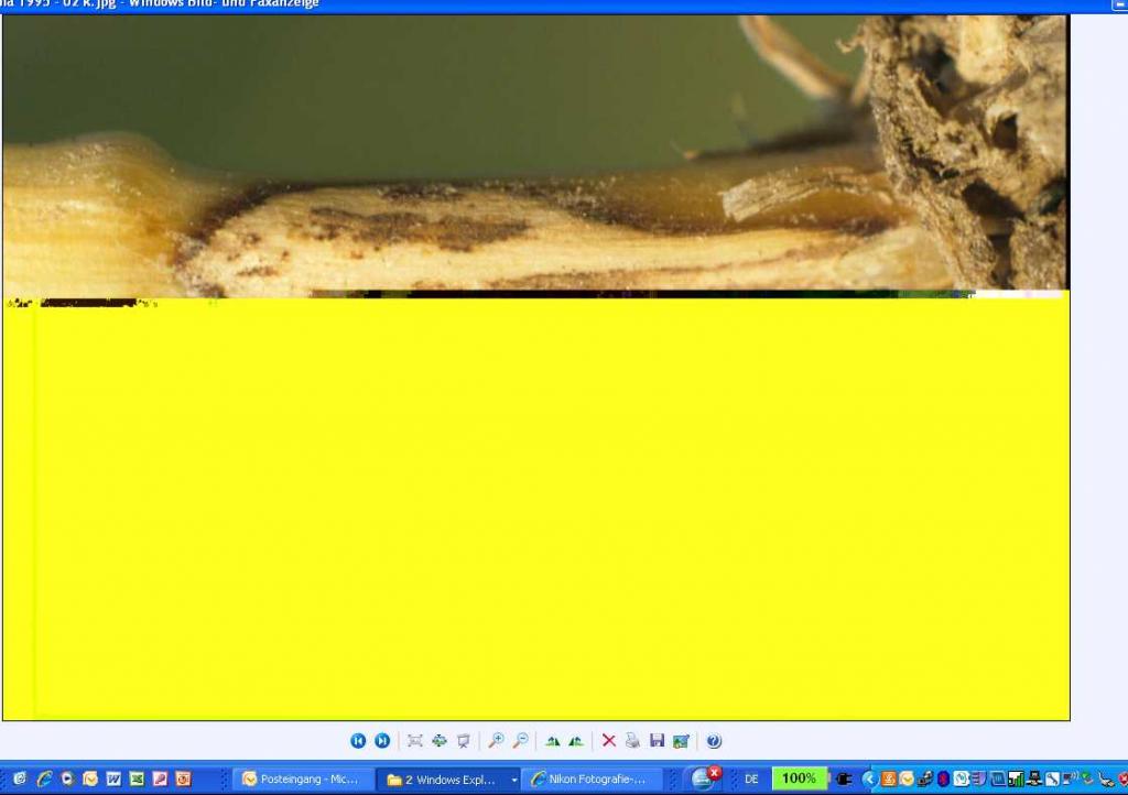 Defekt