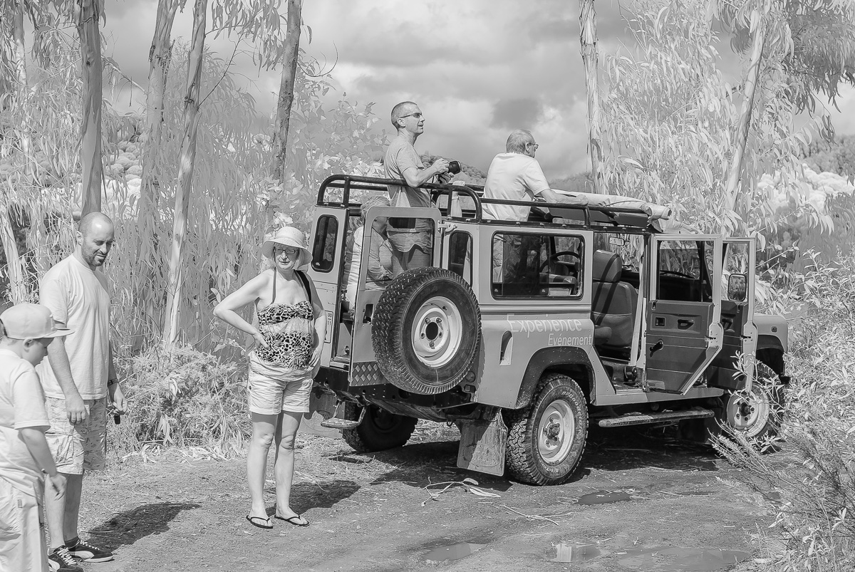 Defender
