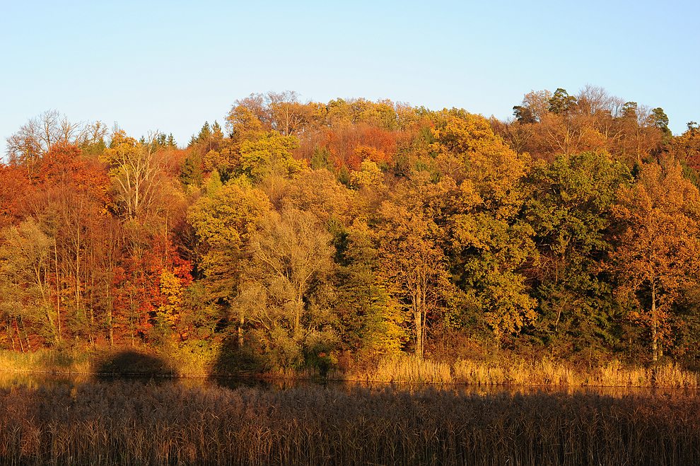 Degenbachsee3
