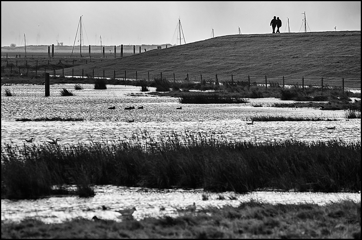 Deichspaziergang 2