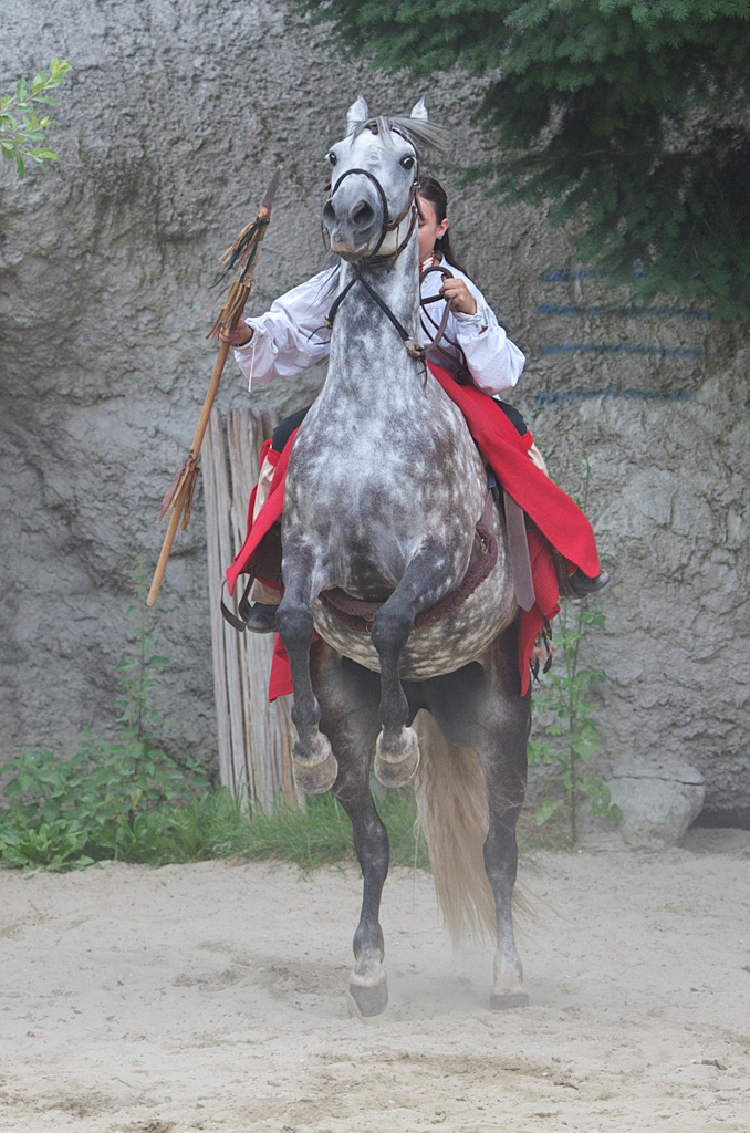 Der Ölprinz