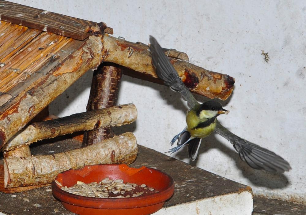 Der Abflug