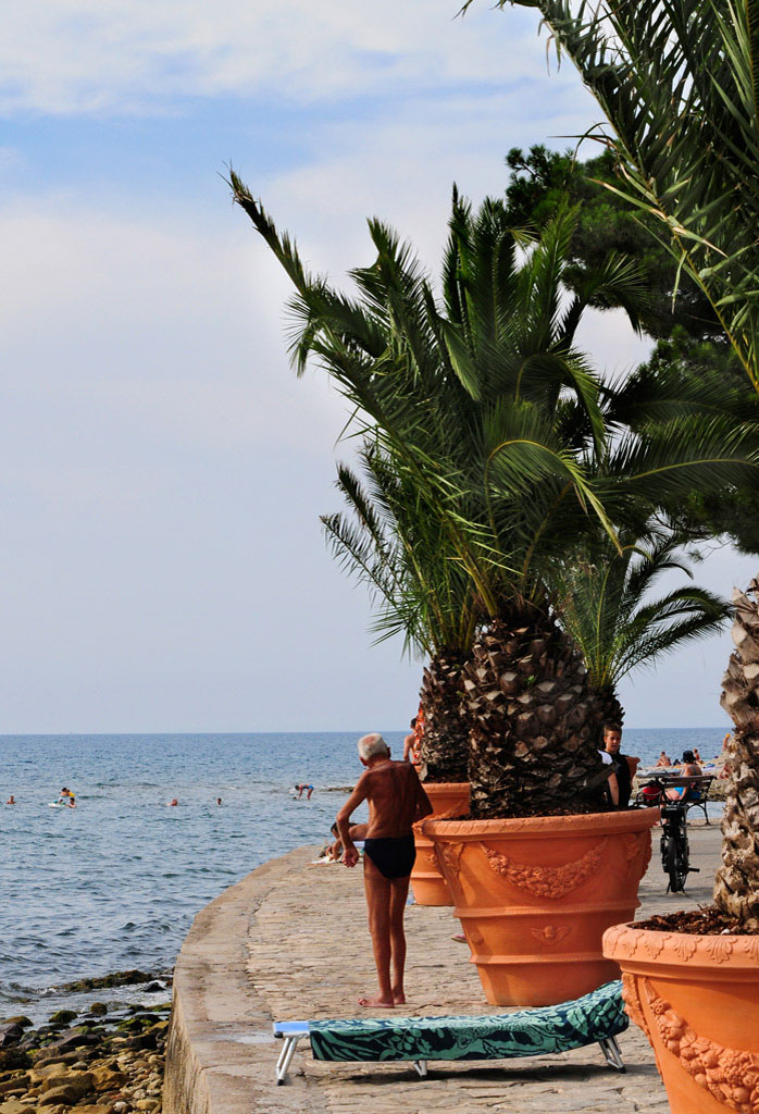 Der alte Mann am Meer 1
Eine schöne kräftige Palme und der eigentlich gar nicht so schöne Körper eines alten Mannes(starke Wirbelsäulenverkrümmung und