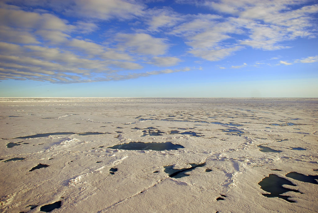 Der arktische Ozean im Bereich von Franz Josef Land