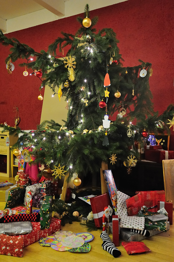 Der Baum 2010