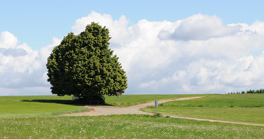 Der Baum am Kreuzweg 1k