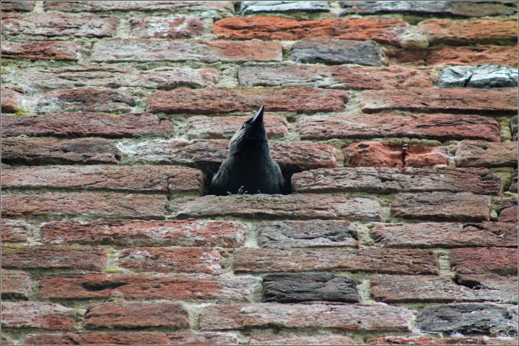 der Blick aus dem Fenster