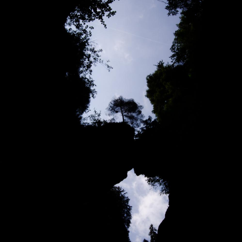 Der Blick nach oben in der Breitachklamm.