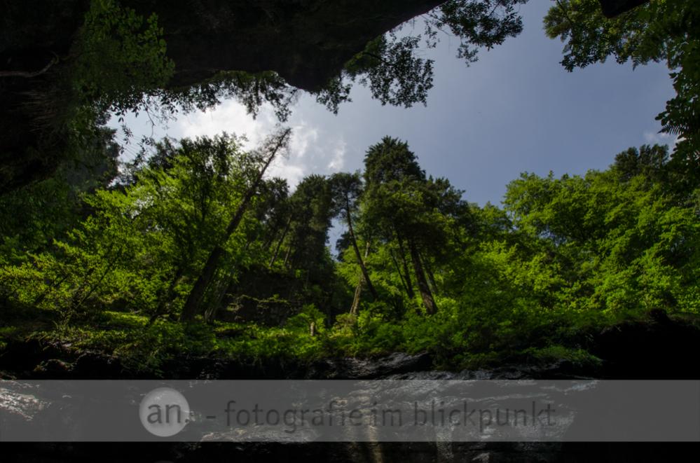 Der Blick nach oben in der Breitachklamm.