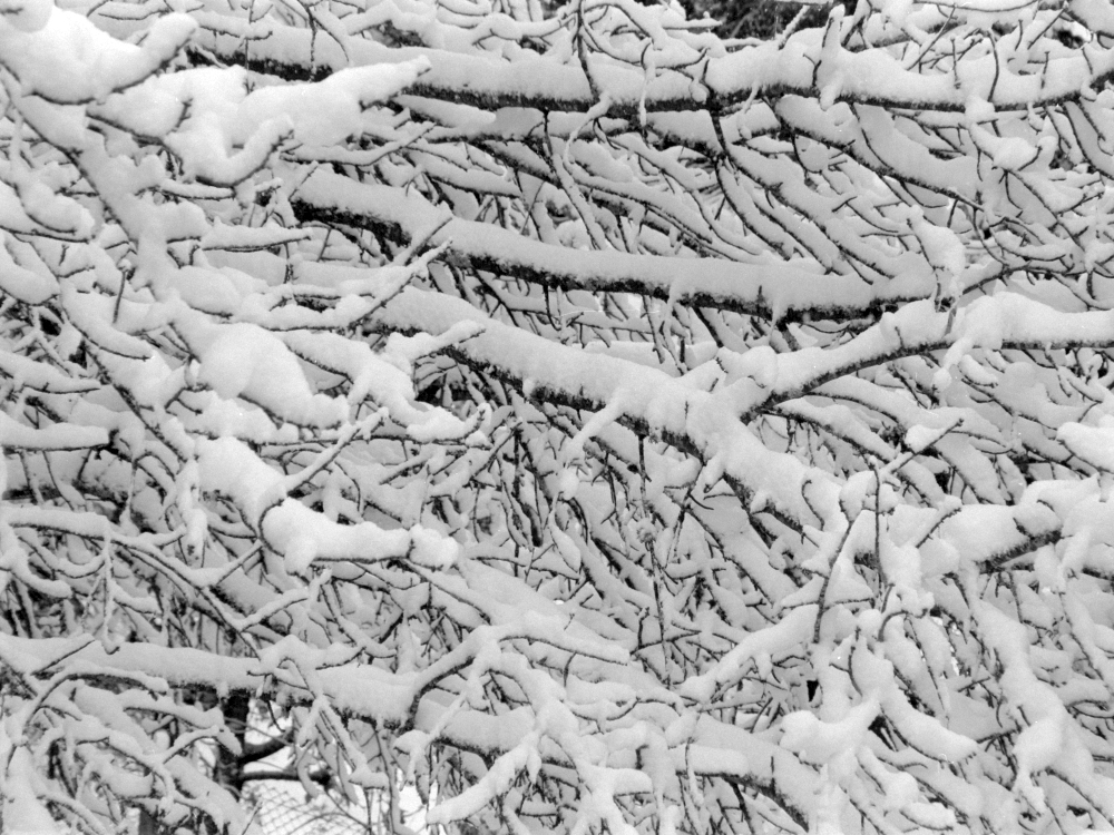 Der erste Schnee