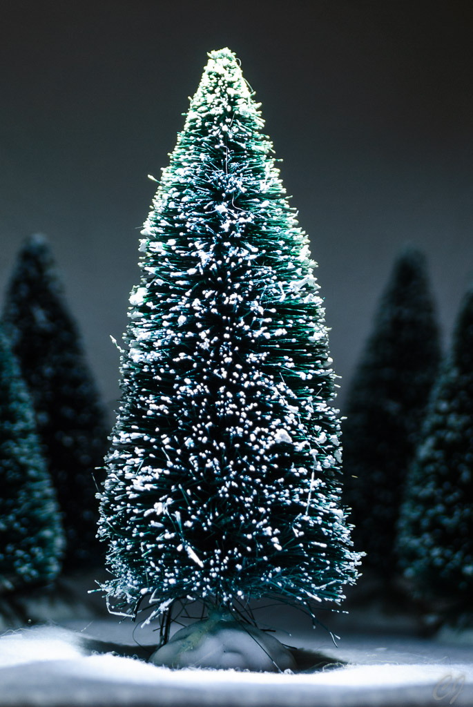 Der Familienweihnachtsbaum